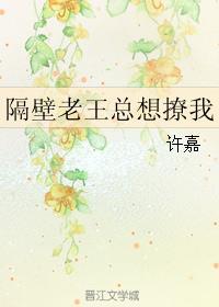 隔壁老王[快穿