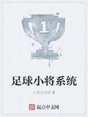 穿越足球小将系统