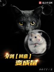 穿到末世变成猫