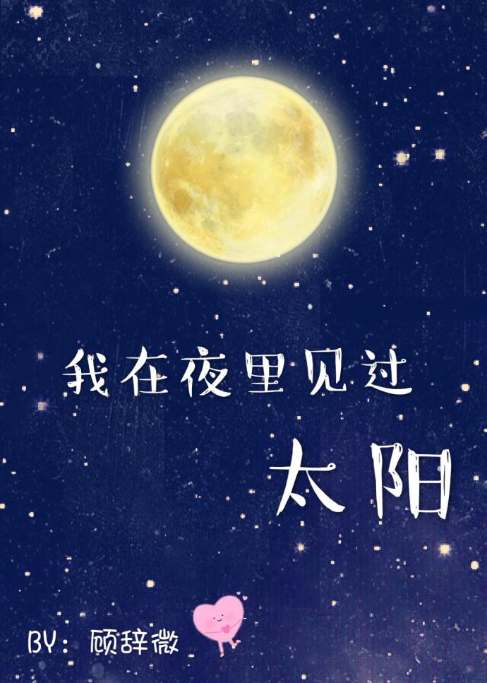 我在夜里见过太阳无防盗