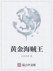 黄金海贼王周边