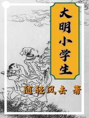 大明小学生类似风格的书