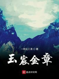 玉宸金章无错版