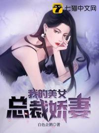 我的美女总裁1—7