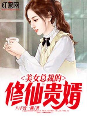 美女总裁的仙尊赘婿