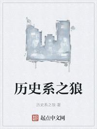 历史系之狼的作品评价