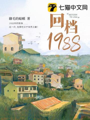 回档1988讲什么