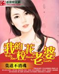 我的校花老婆 - 作者不负妲己