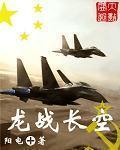 龙战长空txt八零