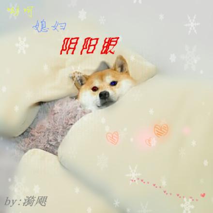 哟呵?媳妇阴阳眼