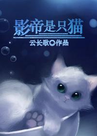 影帝是只猫免费阅读