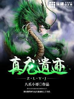 真龙遗迹全本